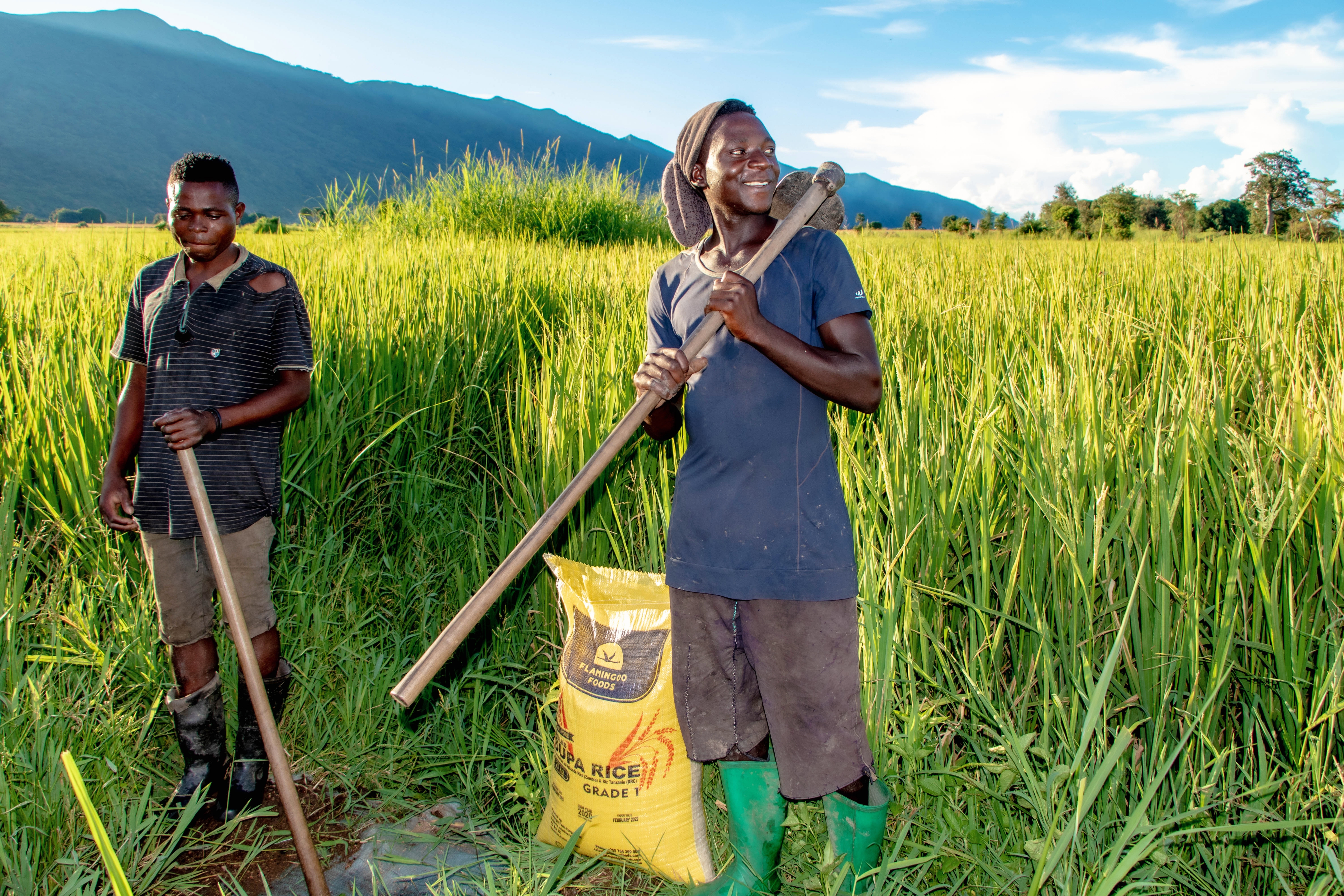 Daraja Impact and Flamingoo Foods Partner to Advance Women’s Empowerment in Tanzania’s Rice Value Chain