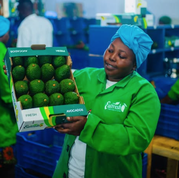 Eatfresh: Turning Waste into Opportunity